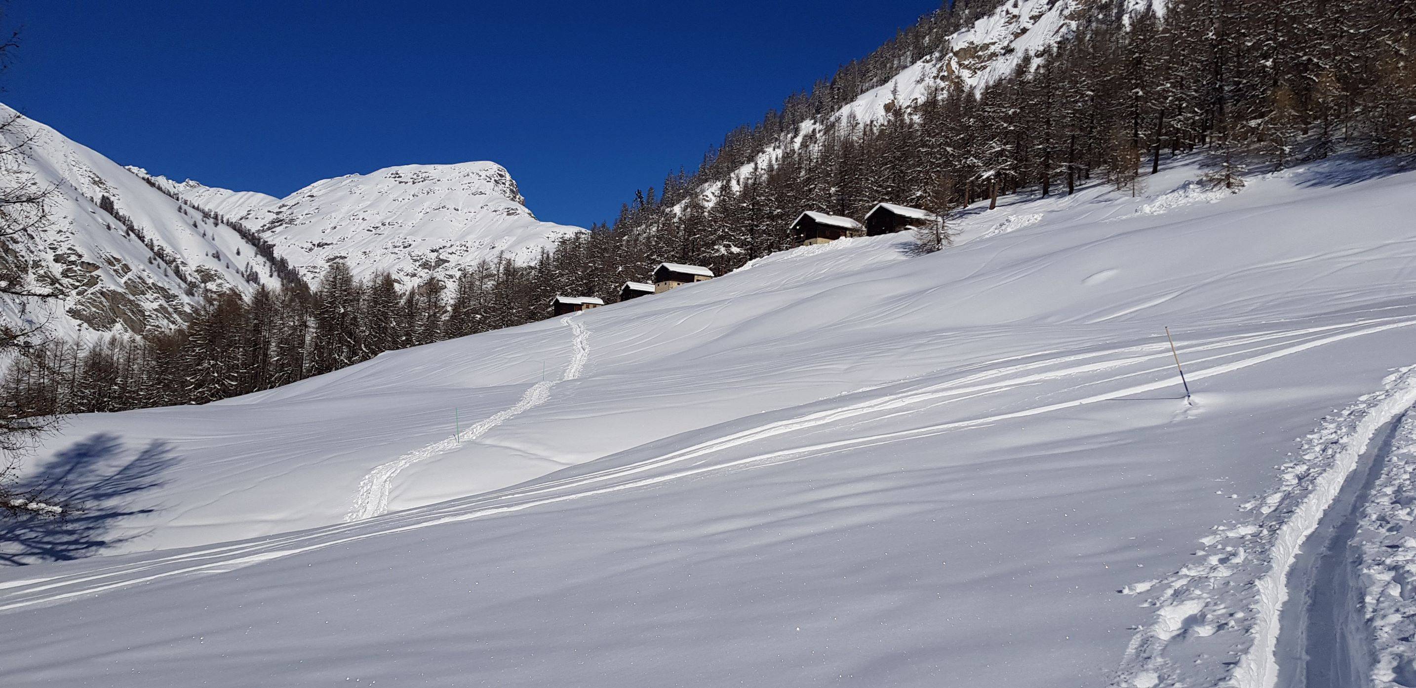 Livigno  snow-shoes trail: Immagine 1